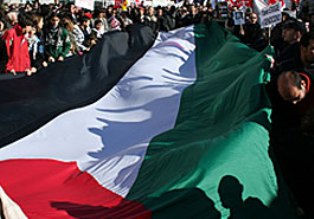 Noticia de Politica 24h: IU exige al Gobierno el reconocimiento de Palestina como Estado libre e independiente 