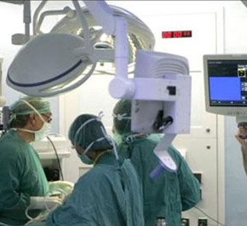 Noticia de Politica 24h: 37 profesionales iberoamericanos implantarn el modelo espaol de trasplantes en sus pases 