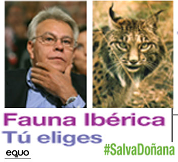 Noticia de Politica 24h: Equo lanza una campaa de firmas para Salvar Doana