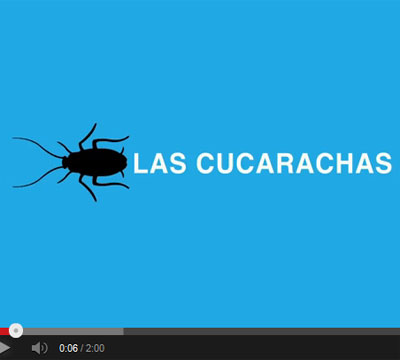 Noticia de Politica 24h: Video-Karaoke realizado por la PAH. Las Cucarachas